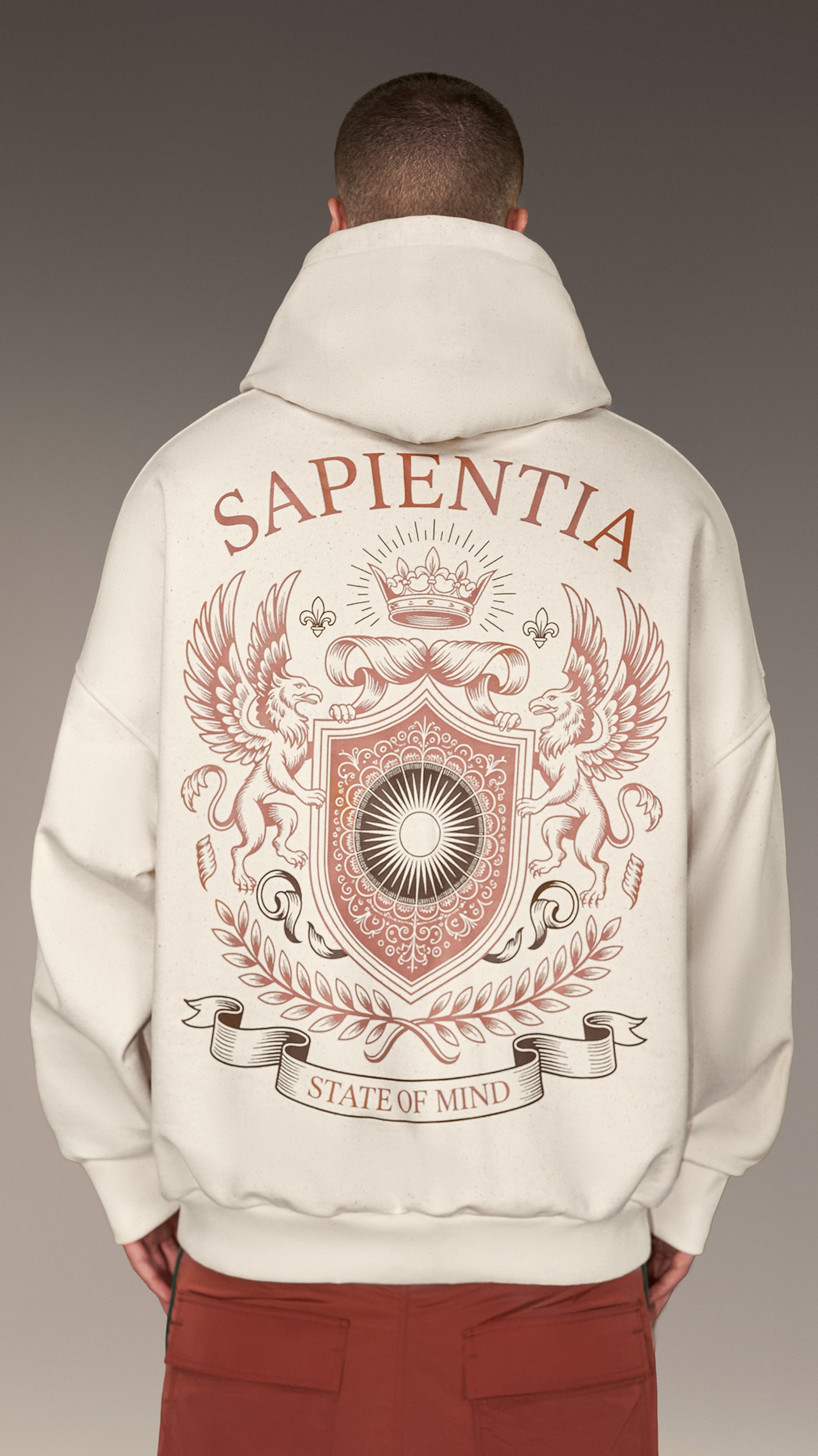 Суитшърт "Sapientia" - H16777