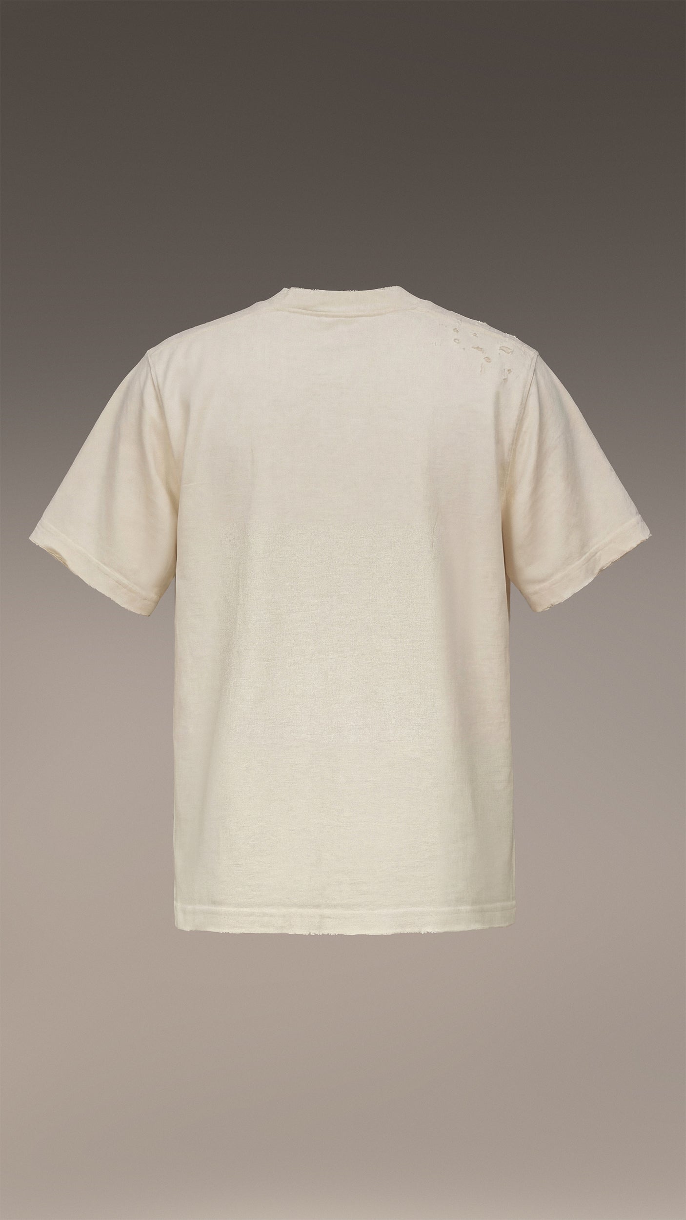 Tricou RAW GRAPHITE - T37191